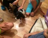 UNADJUSTEDNONRAW thumb 1a2