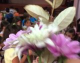 UNADJUSTEDNONRAW thumb 7b8